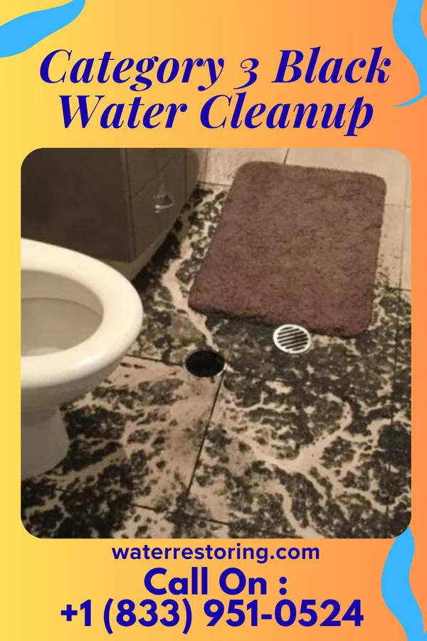 Category 3 Black Water Cleanup in Palisades Park, NJ