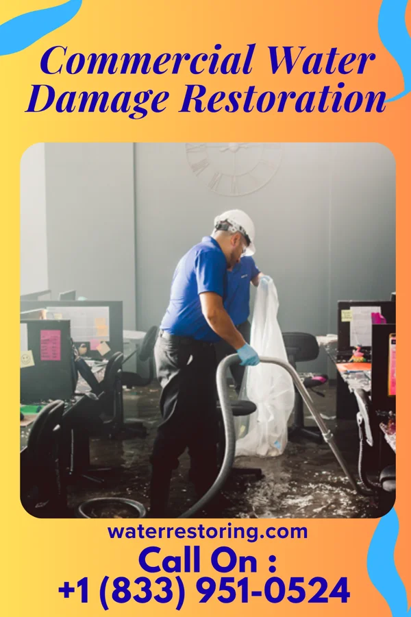 Commercial Water Damage Restoration in Palisades Park, NJ
