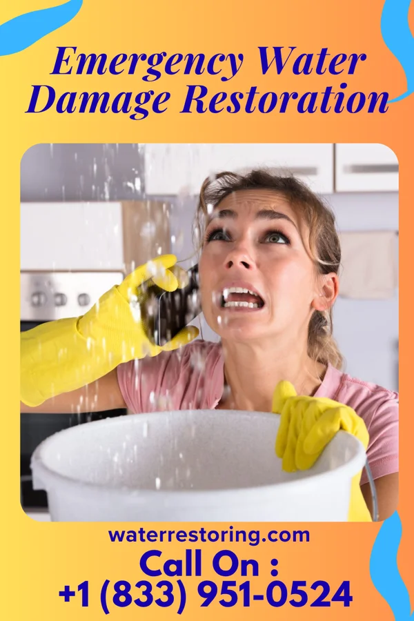 Emergency Water Damage Restoration in Palisades Park, NJ