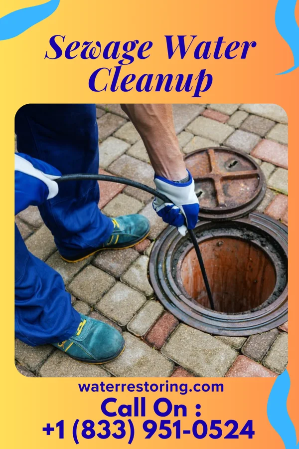 Sewage Water Cleanup in Palisades Park, NJ